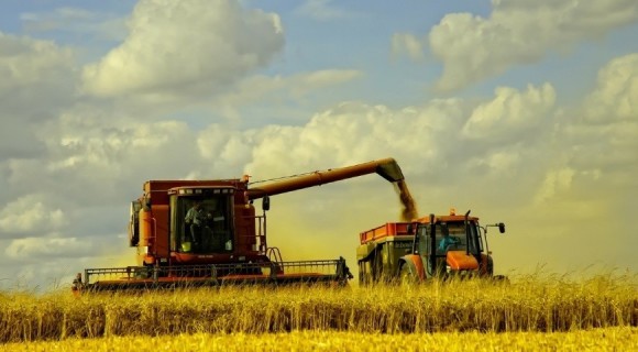 Agricultorii pot solicita subvenții pentru investițiile pe etape