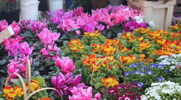 ”Ultimul sunet” aduce posturi fiscale la comercianții de flori