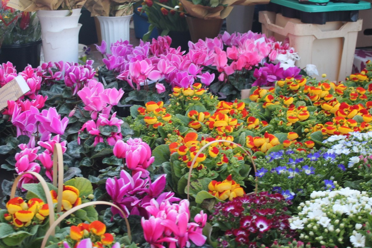 Controale la comercianții de flori din Chișinău și Bălți. Când vor avea loc