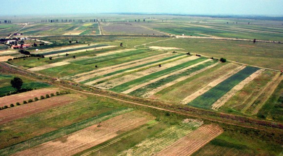 Străinii vor avea dreptul să cumpere pământ agricol? Ce spune ministrul Agriculturii